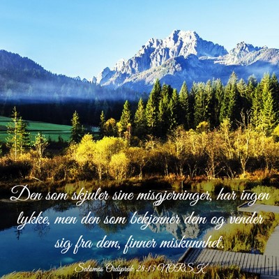 Picture 03 - Salomos Ordspråk 28:13 NORSK - Den som skjuler sine misgjerninger, har ingen - Bible Verse Picture