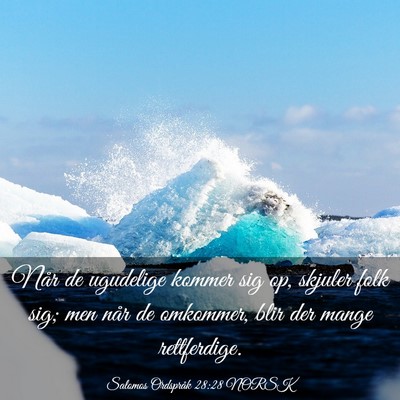 Picture 03 - Salomos Ordspråk 28:28 NORSK - Når de ugudelige kommer sig op, skjuler folk - Bible Verse Picture