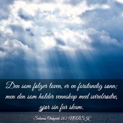 Picture 03 - Salomos Ordspråk 28:7 NORSK - Den som følger loven, er en forstandig sønn; - Bible Verse Picture