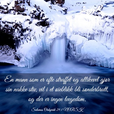Picture 03 - Salomos Ordspråk 29:1 NORSK - En mann som er ofte straffet og allikevel gjør - Bible Verse Picture