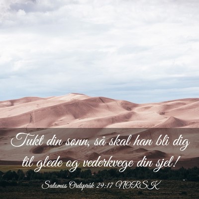 Picture 03 - Salomos Ordspråk 29:17 NORSK - Tukt din sønn, så skal han bli dig til glede og - Bible Verse Picture