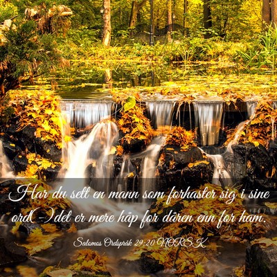 Picture 03 - Salomos Ordspråk 29:20 NORSK - Har du sett en mann som forhaster sig i sine - Bible Verse Picture
