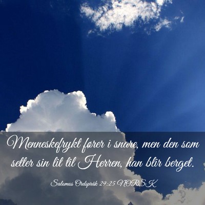 Picture 03 - Salomos Ordspråk 29:25 NORSK - Menneskefrykt fører i snare, men den som setter - Bible Verse Picture