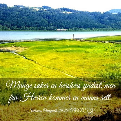 Picture 03 - Salomos Ordspråk 29:26 NORSK - Mange søker en herskers yndest, men fra Herren - Bible Verse Picture