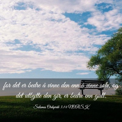 Picture 03 - Salomos Ordspråk 3:14 NORSK - for det er bedre å vinne den enn å vinne sølv, - Bible Verse Picture
