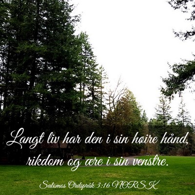 Picture 03 - Salomos Ordspråk 3:16 NORSK - Langt liv har den i sin høire hånd, rikdom og - Bible Verse Picture