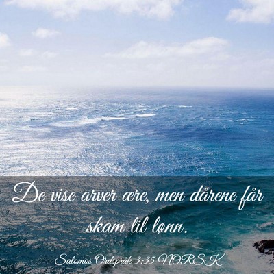 Picture 03 - Salomos Ordspråk 3:35 NORSK - De vise arver ære, men dårene får skam til - Bible Verse Picture