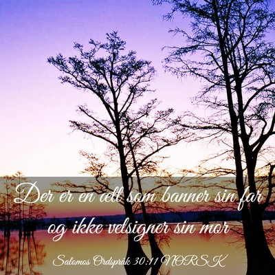 Picture 03 - Salomos Ordspråk 30:11 NORSK - Der er en ætt som banner sin far og ikke - Bible Verse Picture