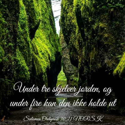 Picture 03 - Salomos Ordspråk 30:21 NORSK - Under tre skjelver jorden, og under fire kan den - Bible Verse Picture