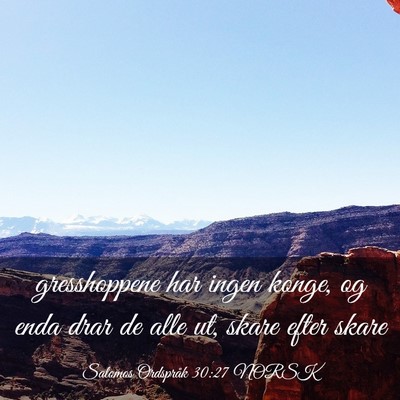 Picture 03 - Salomos Ordspråk 30:27 NORSK - gresshoppene har ingen konge, og enda drar de - Bible Verse Picture