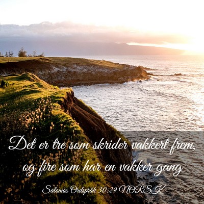 Picture 03 - Salomos Ordspråk 30:29 NORSK - Det er tre som skrider vakkert frem, og fire som - Bible Verse Picture