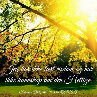Picture 03 - Salomos Ordspråk 30:3 NORSK - Jeg har ikke lært visdom og har ikke kunnskap om - Bible Verse Picture