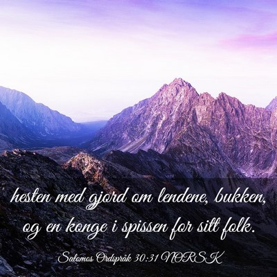 Picture 03 - Salomos Ordspråk 30:31 NORSK - hesten med gjord om lendene, bukken, og en konge - Bible Verse Picture