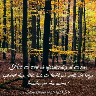 Picture 03 - Salomos Ordspråk 30:32 NORSK - Har du vært så uforstandig at du har ophøiet - Bible Verse Picture