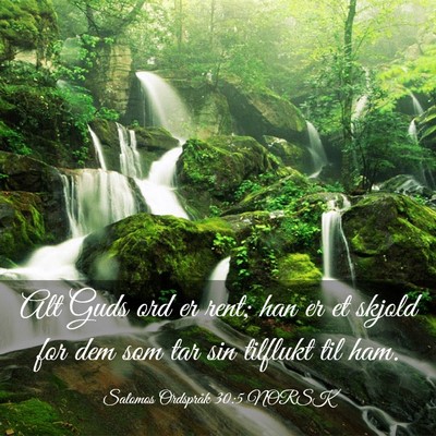 Picture 03 - Salomos Ordspråk 30:5 NORSK - Alt Guds ord er rent; han er et skjold for dem - Bible Verse Picture