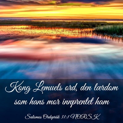 Picture 03 - Salomos Ordspråk 31:1 NORSK - Kong Lemuels ord, den lærdom som hans mor - Bible Verse Picture