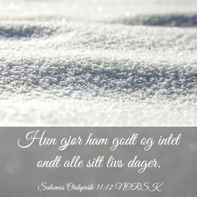 Picture 03 - Salomos Ordspråk 31:12 NORSK - Hun gjør ham godt og intet ondt alle sitt livs - Bible Verse Picture