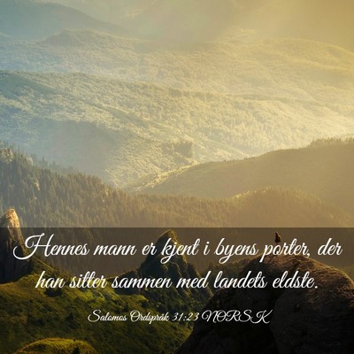 Picture 03 - Salomos Ordspråk 31:23 NORSK - Hennes mann er kjent i byens porter, der han - Bible Verse Picture