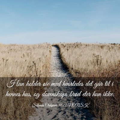 Picture 03 - Salomos Ordspråk 31:27 NORSK - Hun holder øie med hvorledes det går til i - Bible Verse Picture