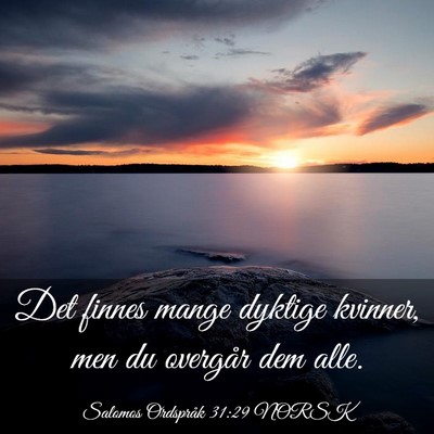 Picture 03 - Salomos Ordspråk 31:29 NORSK - Det finnes mange dyktige kvinner, men du overgår - Bible Verse Picture