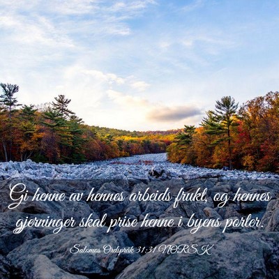 Picture 03 - Salomos Ordspråk 31:31 NORSK - Gi henne av hennes arbeids frukt, og hennes - Bible Verse Picture