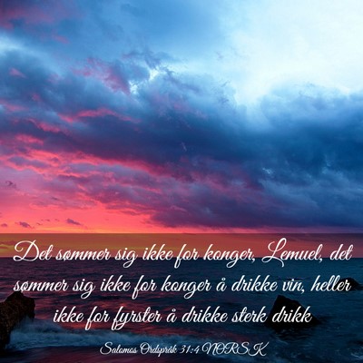 Picture 03 - Salomos Ordspråk 31:4 NORSK - Det sømmer sig ikke for konger, Lemuel, det - Bible Verse Picture