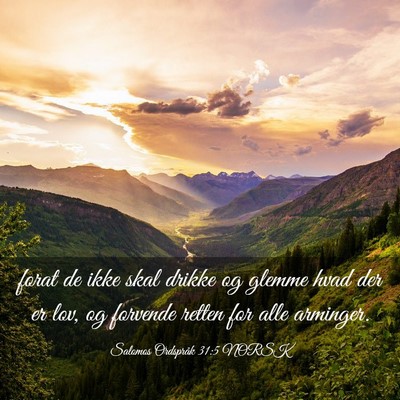Picture 03 - Salomos Ordspråk 31:5 NORSK - forat de ikke skal drikke og glemme hvad der er - Bible Verse Picture