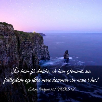 Picture 03 - Salomos Ordspråk 31:7 NORSK - La ham få drikke, så han glemmer sin fattigdom - Bible Verse Picture