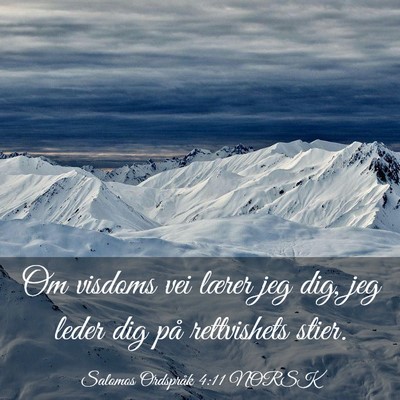 Picture 03 - Salomos Ordspråk 4:11 NORSK - Om visdoms vei lærer jeg dig, jeg leder dig på - Bible Verse Picture