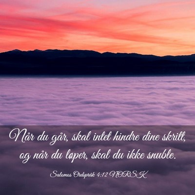 Picture 03 - Salomos Ordspråk 4:12 NORSK - Når du går, skal intet hindre dine skritt, og - Bible Verse Picture