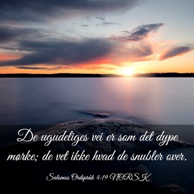 Picture 03 - Salomos Ordspråk 4:19 NORSK - De ugudeliges vei er som det dype mørke; de vet - Bible Verse Picture