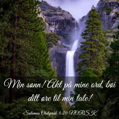 Picture 03 - Salomos Ordspråk 4:20 NORSK - Min sønn! Akt på mine ord, bøi ditt øre til - Bible Verse Picture