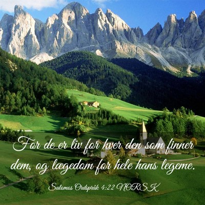 Picture 03 - Salomos Ordspråk 4:22 NORSK - For de er liv for hver den som finner dem, og - Bible Verse Picture