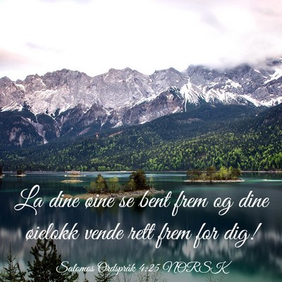 Picture 03 - Salomos Ordspråk 4:25 NORSK - La dine øine se bent frem og dine øielokk vende - Bible Verse Picture