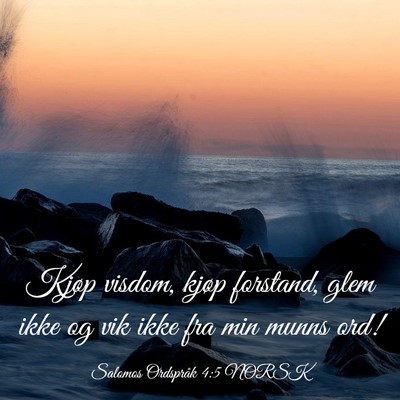 Picture 03 - Salomos Ordspråk 4:5 NORSK - Kjøp visdom, kjøp forstand, glem ikke og vik - Bible Verse Picture