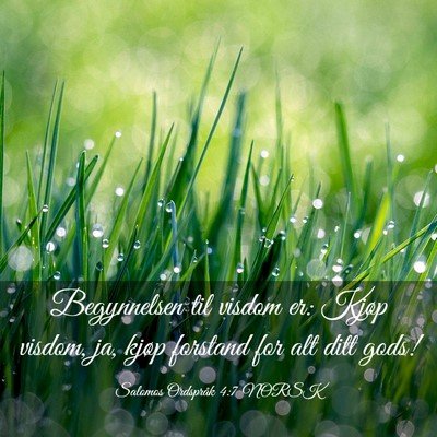 Picture 03 - Salomos Ordspråk 4:7 NORSK - Begynnelsen til visdom er: Kjøp visdom, ja, - Bible Verse Picture