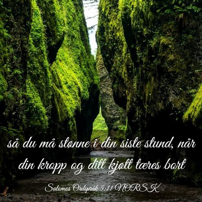 Picture 03 - Salomos Ordspråk 5:11 NORSK - så du må stønne i din siste stund, når din - Bible Verse Picture