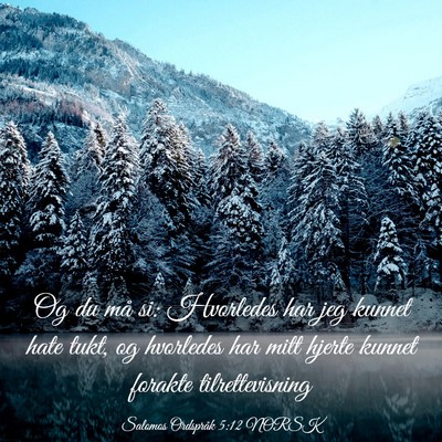 Picture 03 - Salomos Ordspråk 5:12 NORSK - Og du må si: Hvorledes har jeg kunnet hate tukt, - Bible Verse Picture