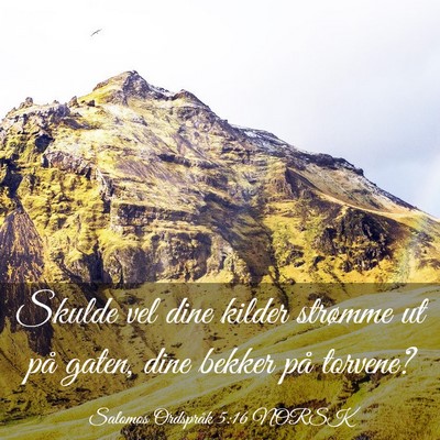 Picture 03 - Salomos Ordspråk 5:16 NORSK - Skulde vel dine kilder strømme ut på gaten, - Bible Verse Picture