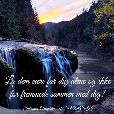 Picture 03 - Salomos Ordspråk 5:17 NORSK - La dem være for dig alene og ikke for fremmede - Bible Verse Picture