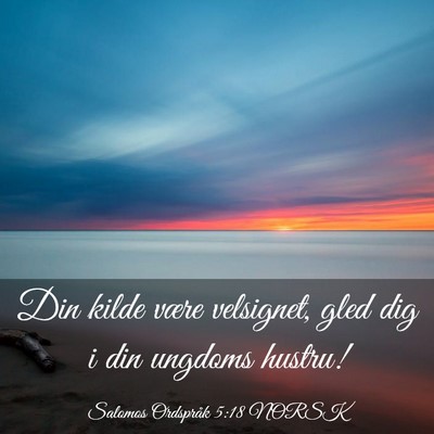 Picture 03 - Salomos Ordspråk 5:18 NORSK - Din kilde være velsignet, gled dig i din ungdoms - Bible Verse Picture