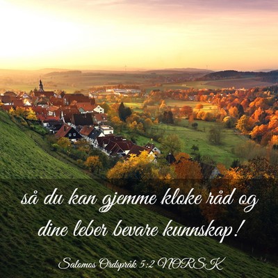 Picture 03 - Salomos Ordspråk 5:2 NORSK - så du kan gjemme kloke råd og dine leber bevare - Bible Verse Picture