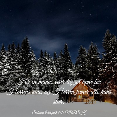 Picture 03 - Salomos Ordspråk 5:21 NORSK - For en manns veier ligger åpne for Herrens - Bible Verse Picture