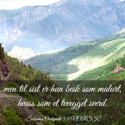 Picture 03 - Salomos Ordspråk 5:4 NORSK - men til sist er hun besk som malurt, hvass som et - Bible Verse Picture