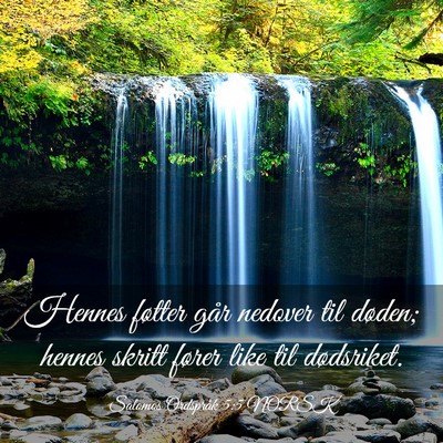 Picture 03 - Salomos Ordspråk 5:5 NORSK - Hennes føtter går nedover til døden; hennes - Bible Verse Picture