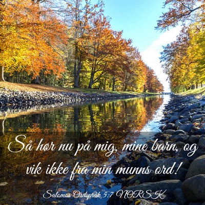 Picture 03 - Salomos Ordspråk 5:7 NORSK - Så hør nu på mig, mine barn, og vik ikke fra - Bible Verse Picture