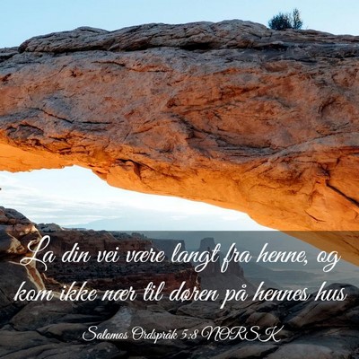 Picture 03 - Salomos Ordspråk 5:8 NORSK - La din vei være langt fra henne, og kom ikke - Bible Verse Picture