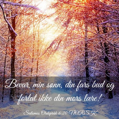 Picture 03 - Salomos Ordspråk 6:20 NORSK - Bevar, min sønn, din fars bud og forlat ikke din - Bible Verse Picture