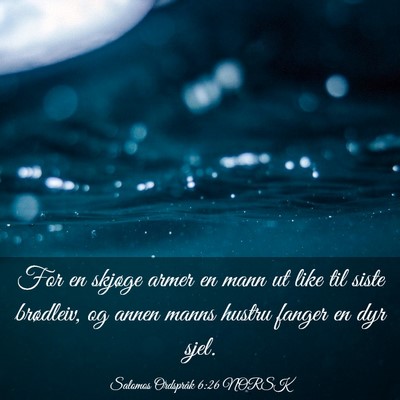 Picture 03 - Salomos Ordspråk 6:26 NORSK - For en skjøge armer en mann ut like til siste - Bible Verse Picture