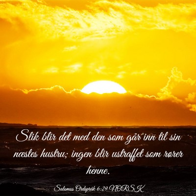 Picture 03 - Salomos Ordspråk 6:29 NORSK - Slik blir det med den som går inn til sin - Bible Verse Picture